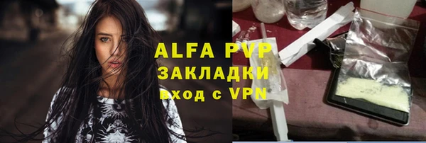 мет Алексин