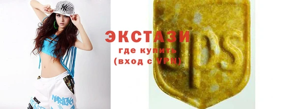 мет Алексин