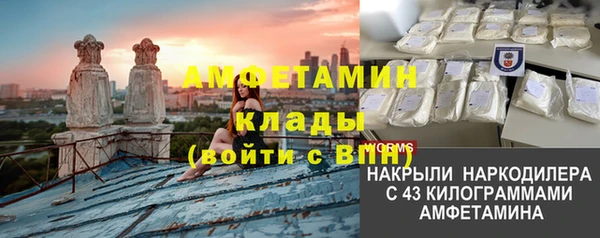 мет Алексин