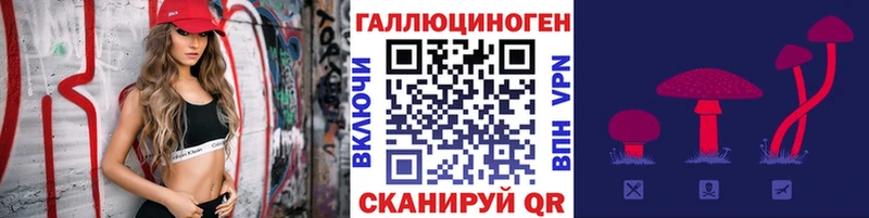 продажа наркотиков  Мензелинск  Псилоцибиновые грибы Cubensis 